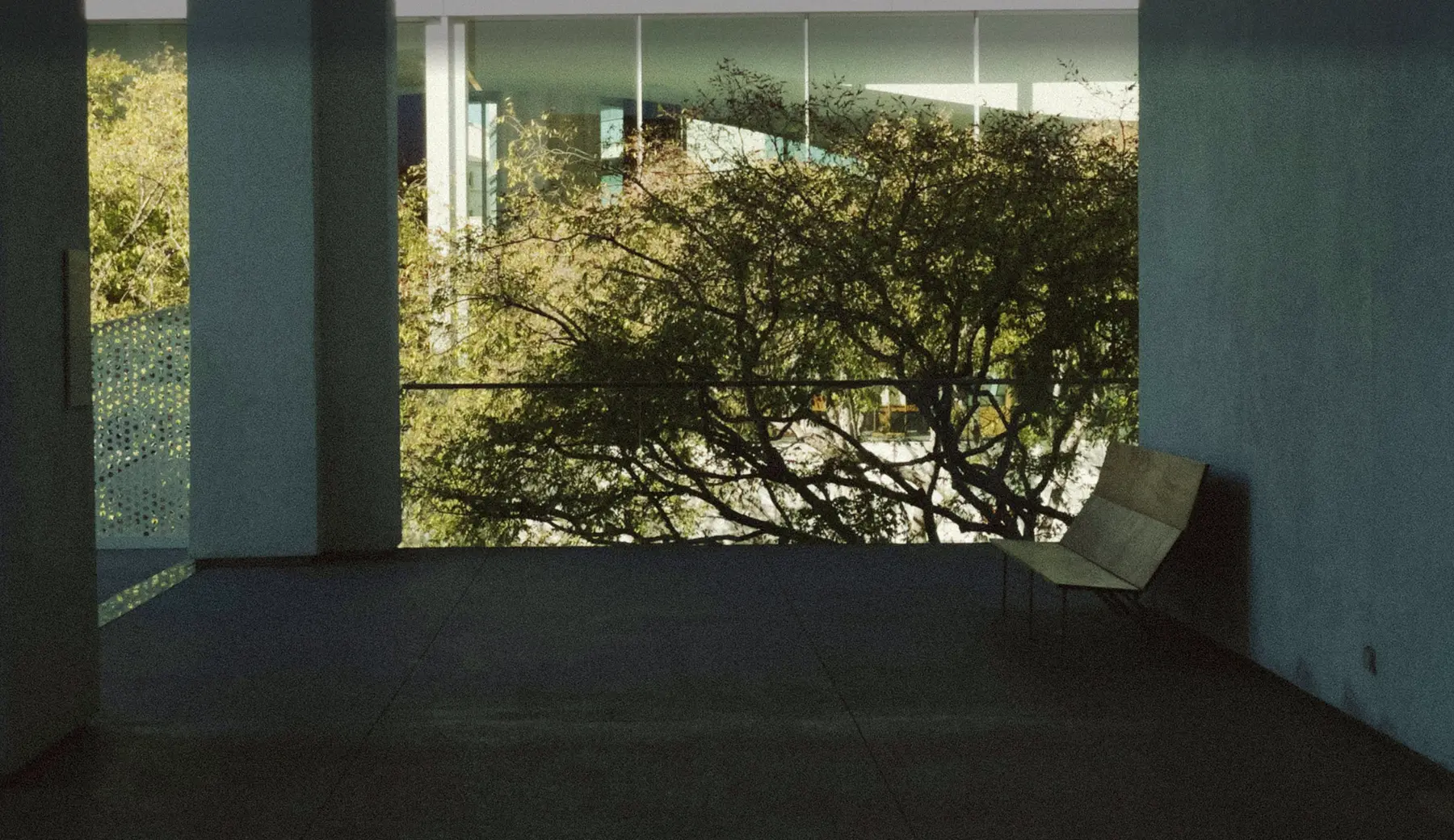 Empty modern balcony with a bench overlooking leafy tree branches and building windows.